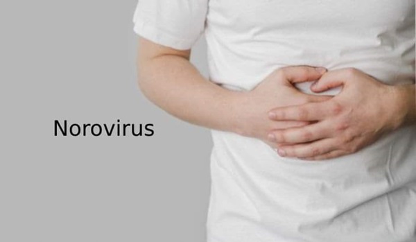 Ce este Norovirusul, agentul patogen care a creat panică la Colegiul "C. D. Loga". Explicațiile medicilor de la Spitalul „Victor Babeș” Timișoara