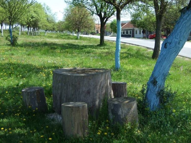 Prognoza meteo pentru următoarele patru: Temperaturi mai ridicate decât cele normale