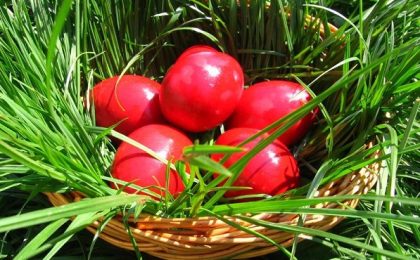 Tradiții și obiceiuri și în a doua zi de Paște. Obiceiul ”Udatului” și ciocnitul ouălor invers