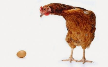 Misterul „oul sau găina" a fost în sfârșit elucidat