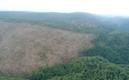Pădurile din Caraș-Severin, rase de furtuni. A fost afectată o suprafață de peste 300 de hectare din situl UNESCO Izvoarele Nerei