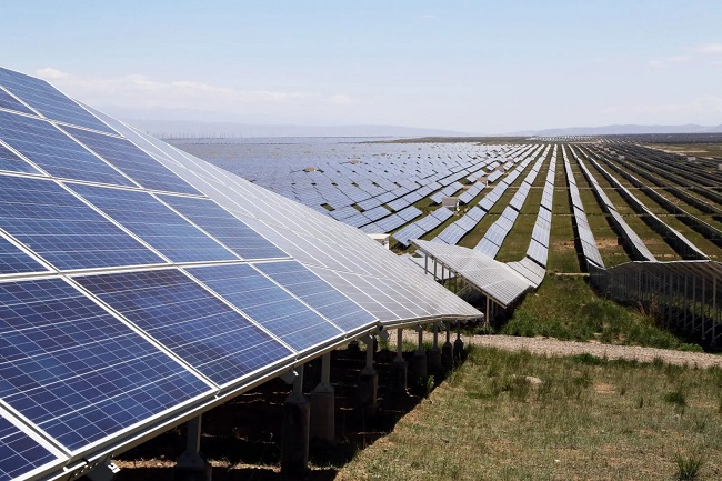 Parc fotovoltaic întins pe 20 de hectare, la Timişoara
