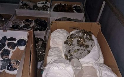Flori de mină în valoare de 20.200 de euro, confiscate la granița cu Ungaria