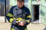 Pisoi blocat într-un tavan fals, salvat de pompieri la Săcălaz. I se caută o casă primitoare