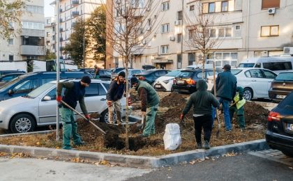 Primăria spune că a început "campania de toamnă pentru înverzirea Timișoarei"
