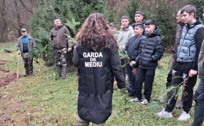 Elevi din Timiș, implicați într-o acțiune de plantare de puieți