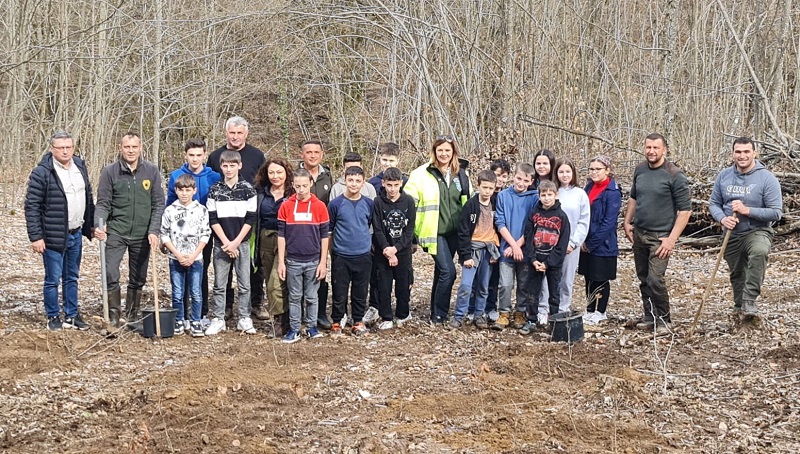 Elevi implicaţi într-o acţiune de plantare de puieţi în Timiş