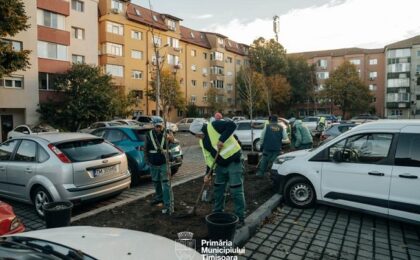Peste 2.500 de arbori vor fi plantați în această toamnă în Timișoara