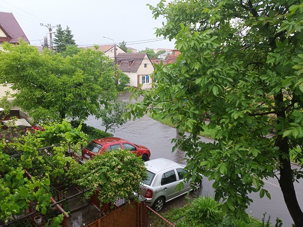 Ploaie torențială la Timișoara. Curți și subsoluri inundate, străzi pline de apă