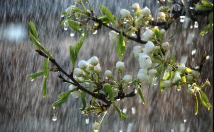 Anunț de la meteorologi: vremea până la începutul lunii iunie