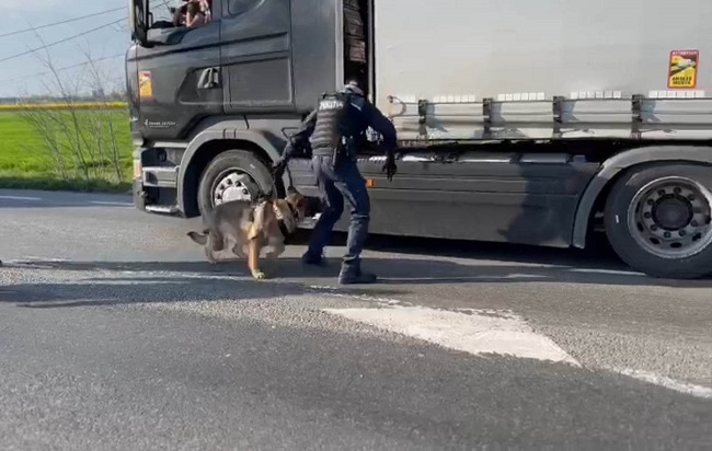 Acțiune în forță a poliției, pentru combaterea migrației ilegale | Video