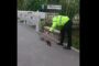 Cluj: Polițist local, filmat în timp ce conduce o familie de rațe pe o stradă, spre un canal
