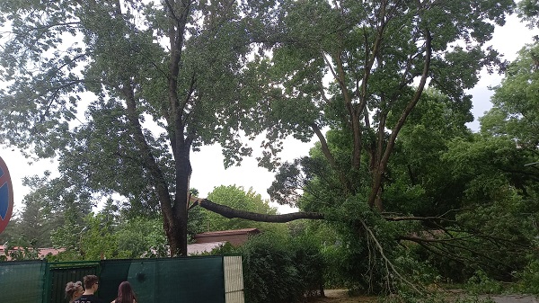 Cod portocaliu în vestul țării. Rafalele puternice de vânt au rupt deja un copac în incinta ștrandului din Arad