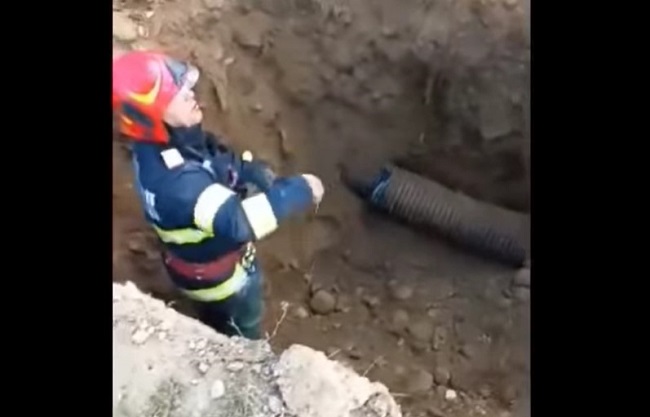 Oameni cu suflet mare! Cățelușa Luminița, captivă de peste 24 de ore într-o conductă îngustă, a fost salvată de pompieri (video)