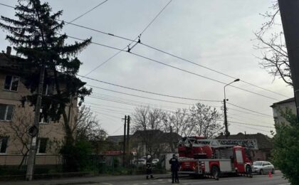 Vântul a doborât materiale publicitare și un brad, în Timișoara. Pompierii au intervenit