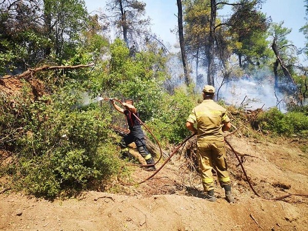 Ziar elen, despre pompierii români din insula Evia: Parcă sunt extratereștri
