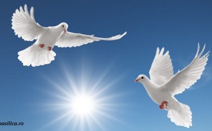 1 ianuarie - Ziua Mondială a Păcii