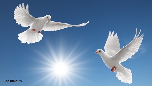 1 ianuarie - Ziua Mondială a Păcii