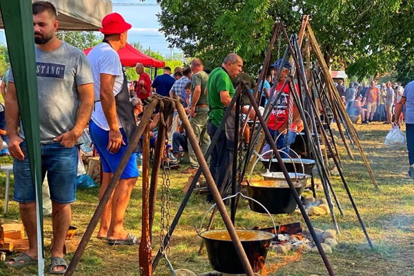 poza festival Buzias