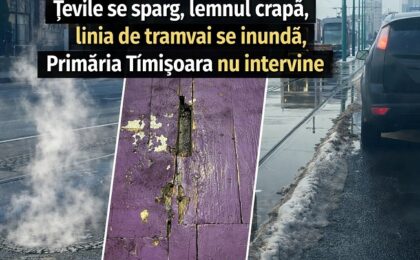 După iarnă și zăpadă, la Primăria Timișoara ies ghioceii incompetenței