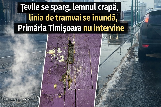 După iarnă și zăpadă, la Primăria Timișoara ies ghioceii incompetenței