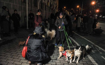 Zeci de timişoreni au protestat împotriva eutanasierii câinilor fără stăpân 11 protest caini