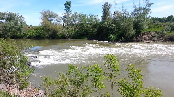 Mobilizare de forțe la Șag, o tânără de 18 ani a murit înecată în râul Timiș