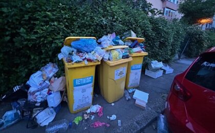 Zeci de străzi din Timișoara și din comunele învecinate s-au umplut de gunoi, Retim nu dă o dată certă de reîncepere a lucrului