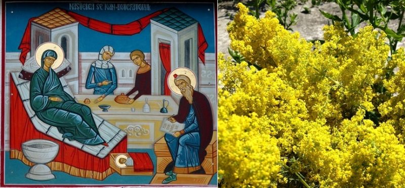 Astăzi prăznuim Naşterea Sfântului Ioan Botezătorul. Sărbătoarea e cunoscută la români şi sub numele de Sânziene sau Drăgaică
