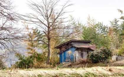 Premieră. Două comune din nordul României au decis să fuzioneze