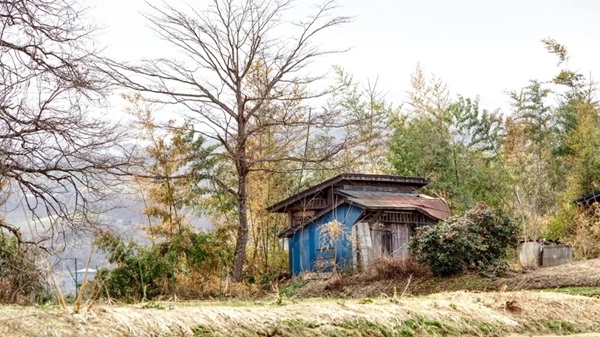 Premieră. Două comune din nordul României au decis să fuzioneze