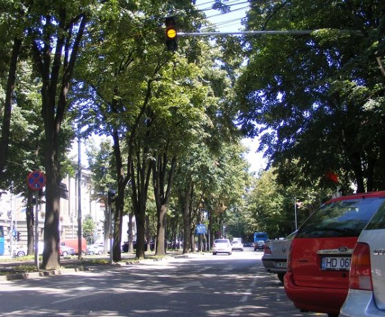 semafoare Timisoara 3