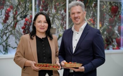 DS Smith și Serele SupeR înlocuiesc 10 milioane de bucăți de plastic de unică folosință cu ambalaje sustenabile, din carton ondulat