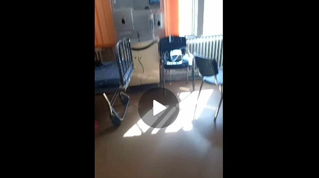 O mamă internată cu fetița sa la Spitalul de Copii din Timișoara a găsit un șoarece mort în salon. Video