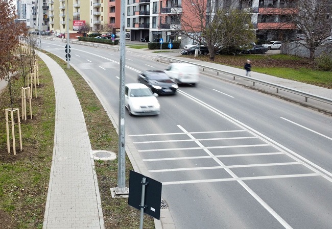 Primăria Timișoara a câștigat în primă instanță procesul cu firma care a modernizat strada Grigore Alexandrescu