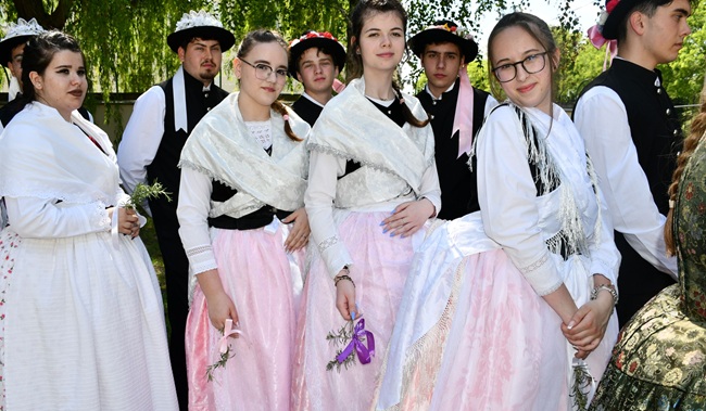 Minoritățile din Timișoara. Șvabi în toată regula