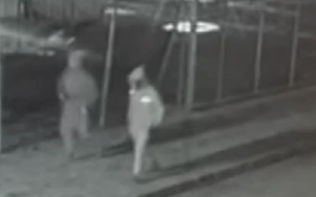 Tâlhărie la Sânnicolau Mare. Făptașii au fost prinși (video)
