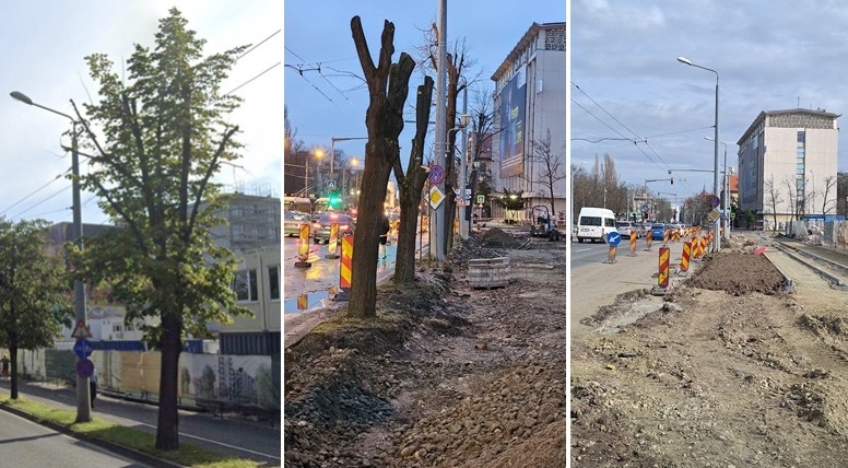 Șeful peisagiștilor din Timișoara, dezamăgit de administrația Fritz: “Desenăm coridoare verzi-albastre la tot pasul, dar în realitate...”