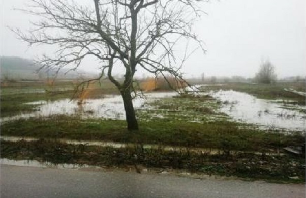 Inundații în vestul țării, au fost afectate 330 de hectare de terenuri agricole