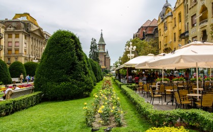 timisoara6