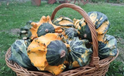 Prognoza ANM pentru luna octombrie