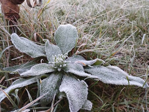 Cum va fi vremea până la Crăciun? Meteorologii ANM au actualizat prognoza