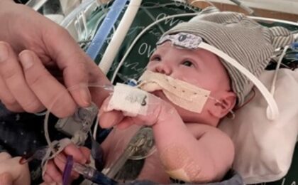 Două tehnici revoluționare permit repornirea inimilor donate în afara corpului