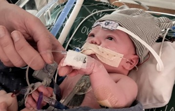 Două tehnici revoluționare permit repornirea inimilor donate în afara corpului