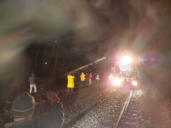Tren cu 100 de pasageri, blocat din cauza copacilor căzuți pe linii, în vestul țării