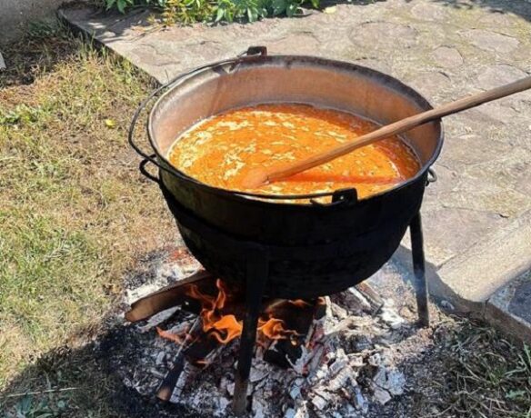 Varza la cazan și pompierii, într-o comună timişeană