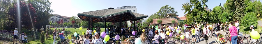 verde pentru biciclete2