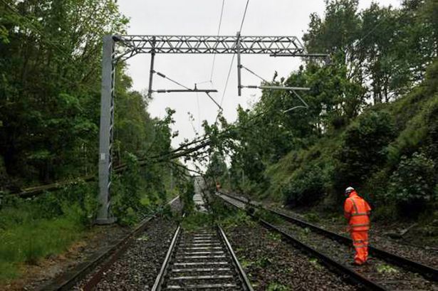 Vijelia a doborât doi copaci: unul a blocat calea ferată, altul a căzut peste fire de curent la Timișoara