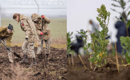 Voluntarii de mediu au plantat 655.000 de puieţi forestieri în campania „Plantăm fapte bune în România”, în 2024