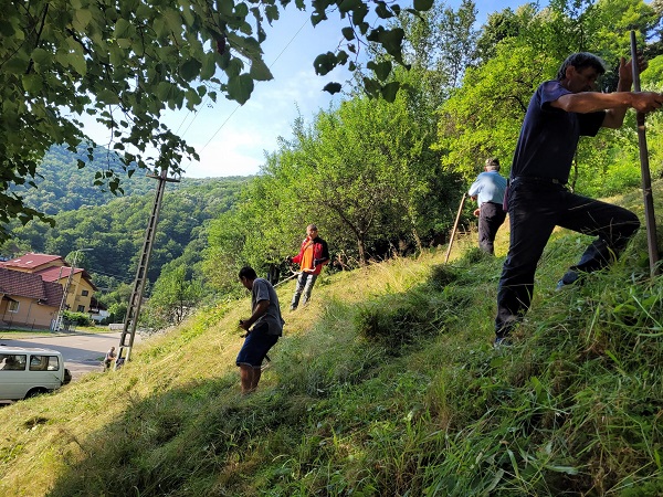 20 de voluntari din Tomești în frunte cu primarul comunei au cosit iarba din localitate